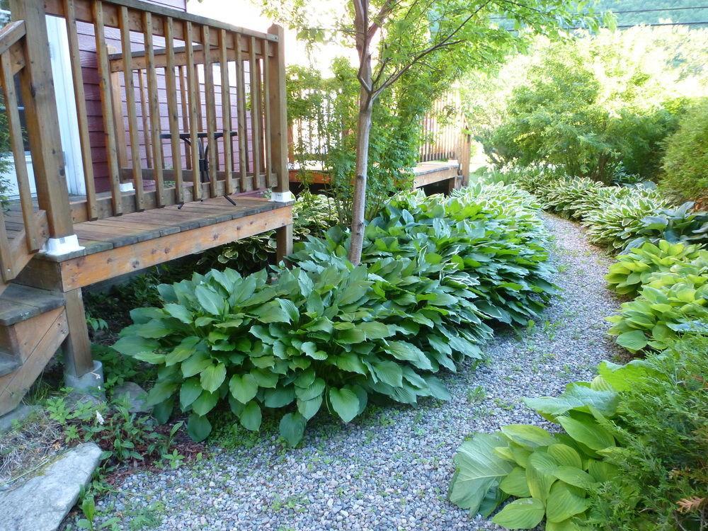 B&B Les Deux Pignons Petit-Saguenay 外观 照片