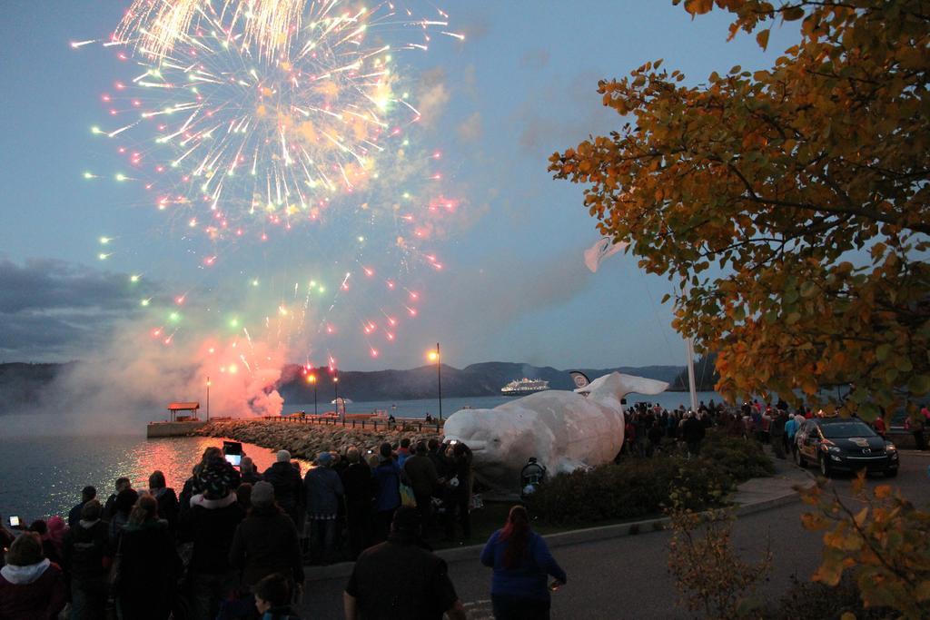B&B Les Deux Pignons Petit-Saguenay 外观 照片